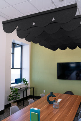 Ebony Acoustic Blade Baffle