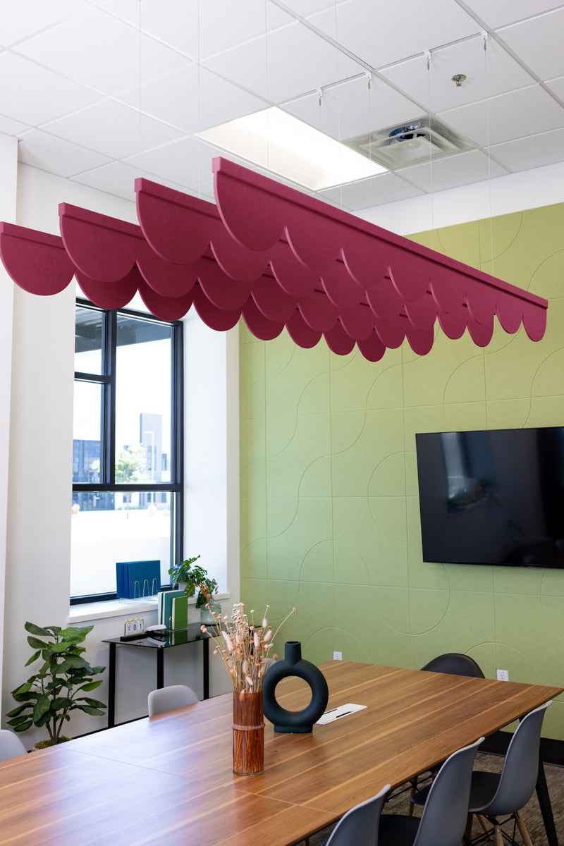Raspberry Acoustic Blade Baffle