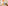 Colorful abstract acoustic wall art in a room with an easel and plants