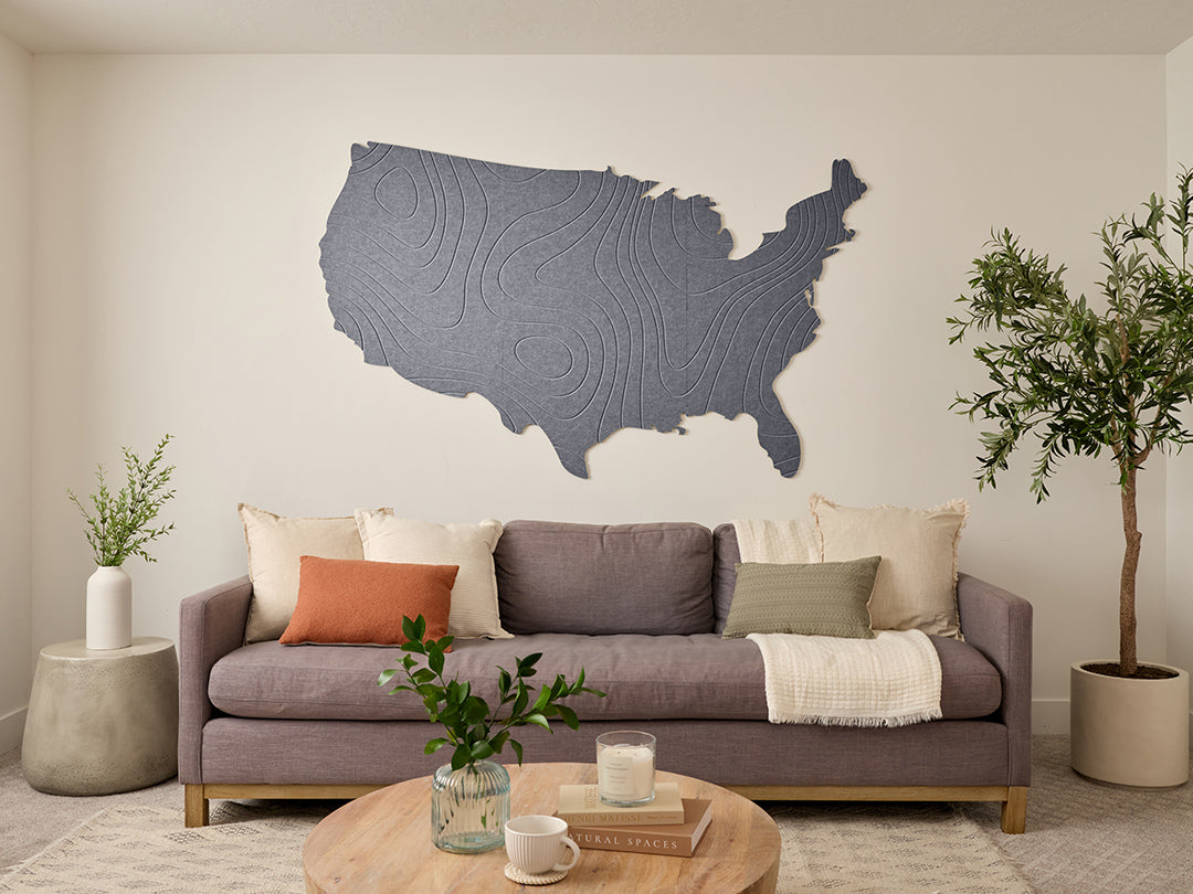 Topographic US Map Wall Art