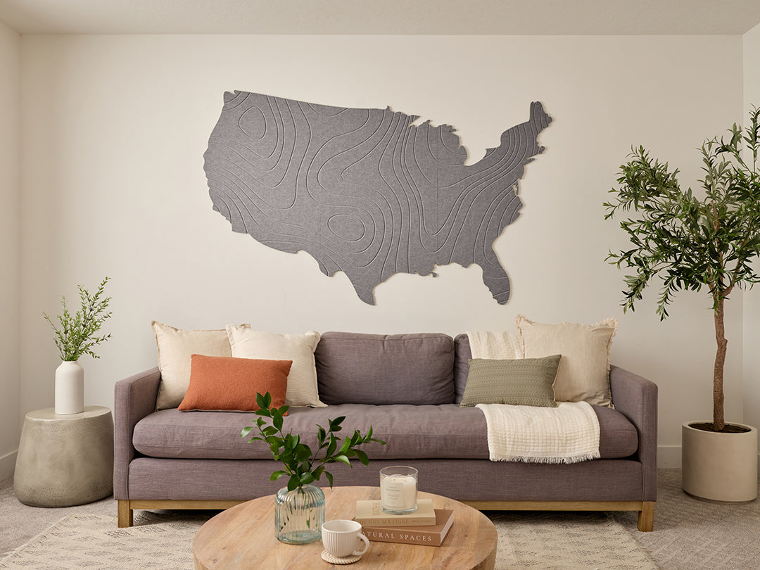 Topographic US Map Wall Art