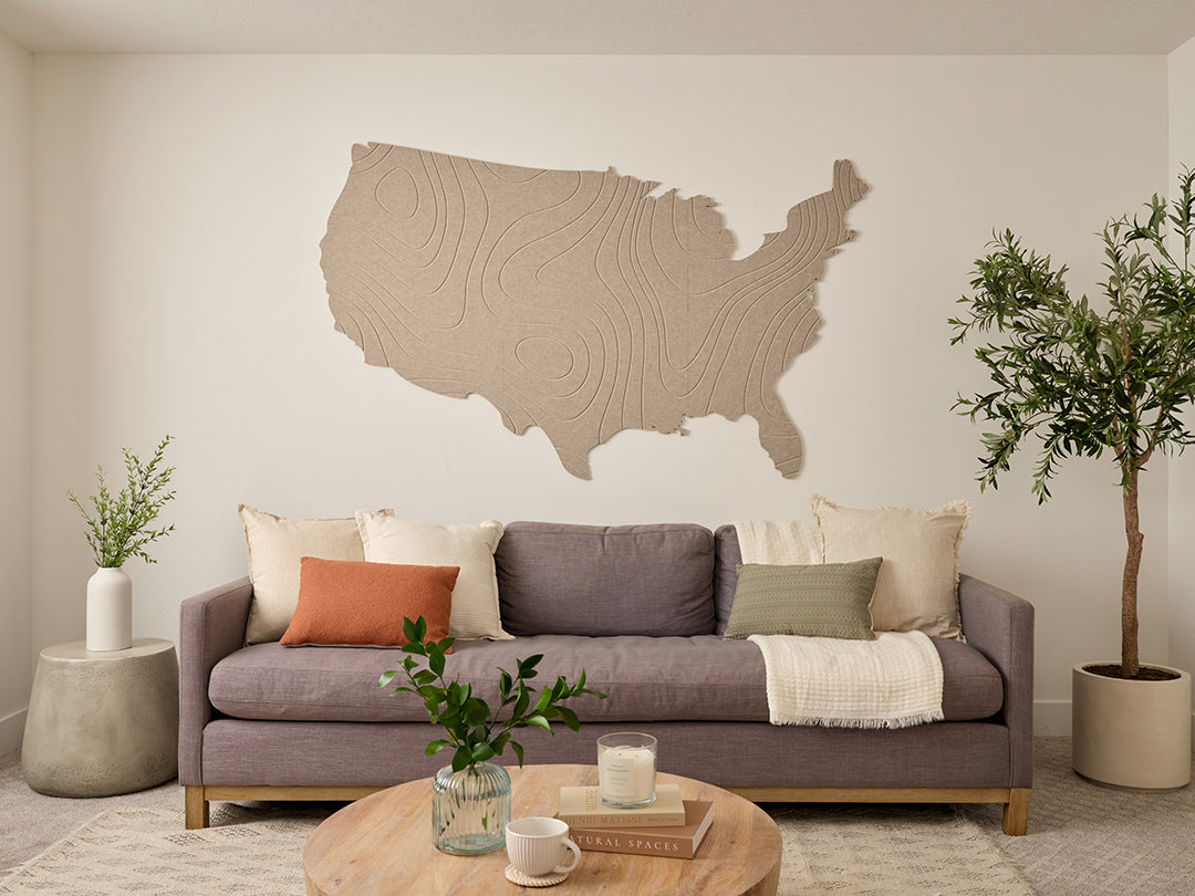Topographic US Map Wall Art