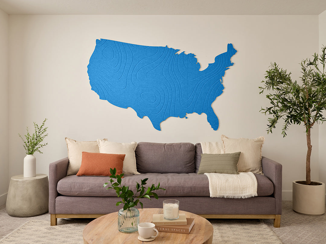 Topographic US Map Wall Art