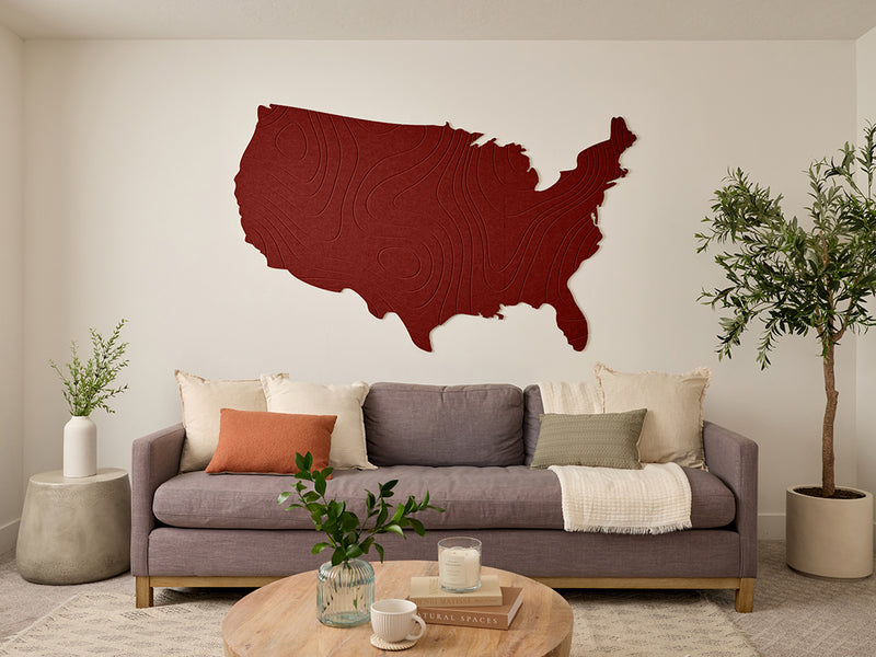 Topographic US Map Wall Art