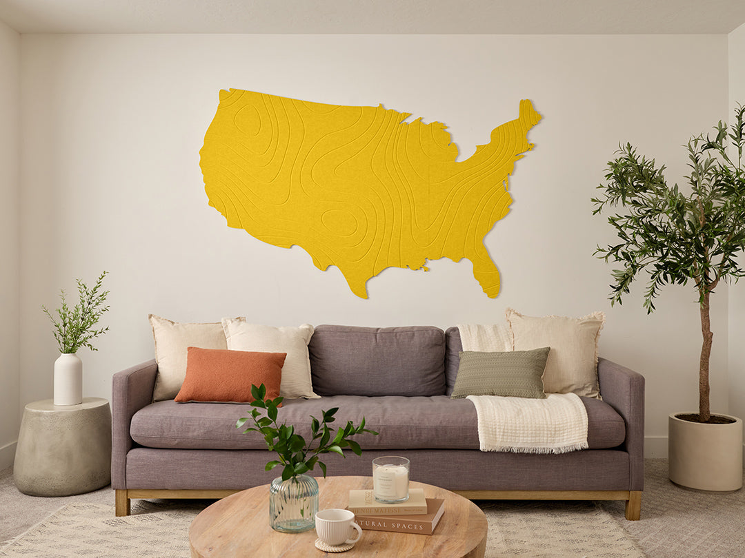 Topographic US Map Wall Art