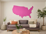 Topographic US Map Wall Art