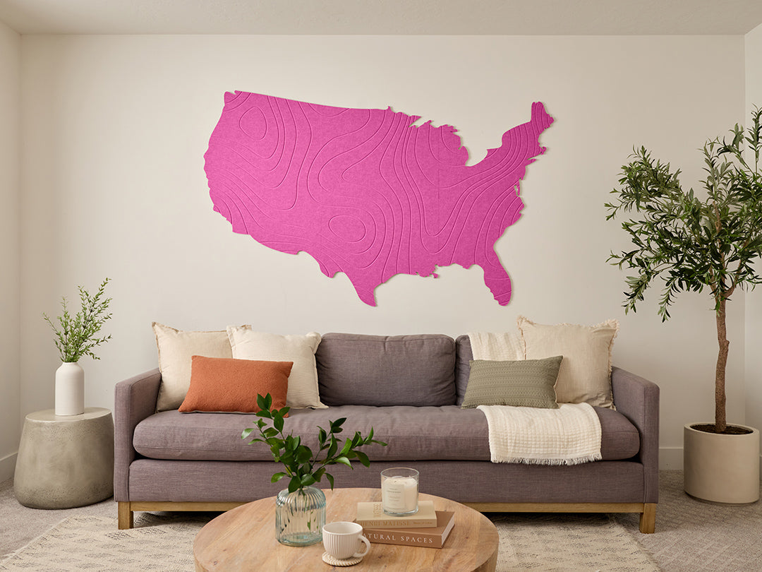 Topographic US Map Wall Art