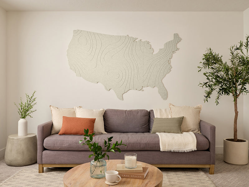 Topographic US Map Wall Art