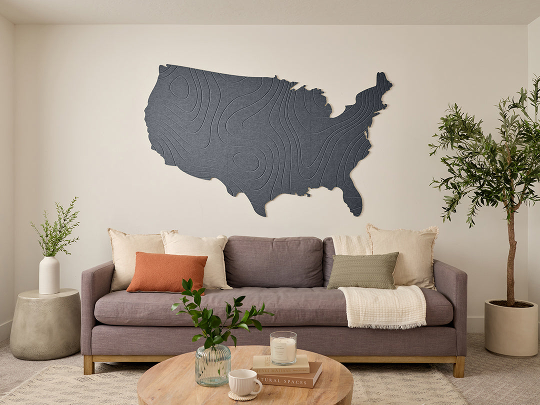 Topographic US Map Wall Art