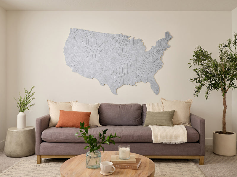 Topographic US Map Wall Art