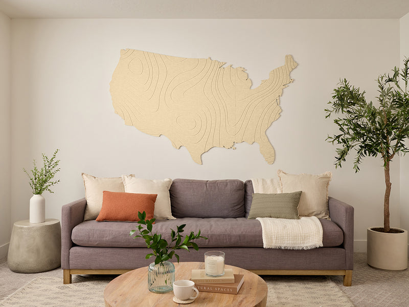 Topographic US Map Wall Art