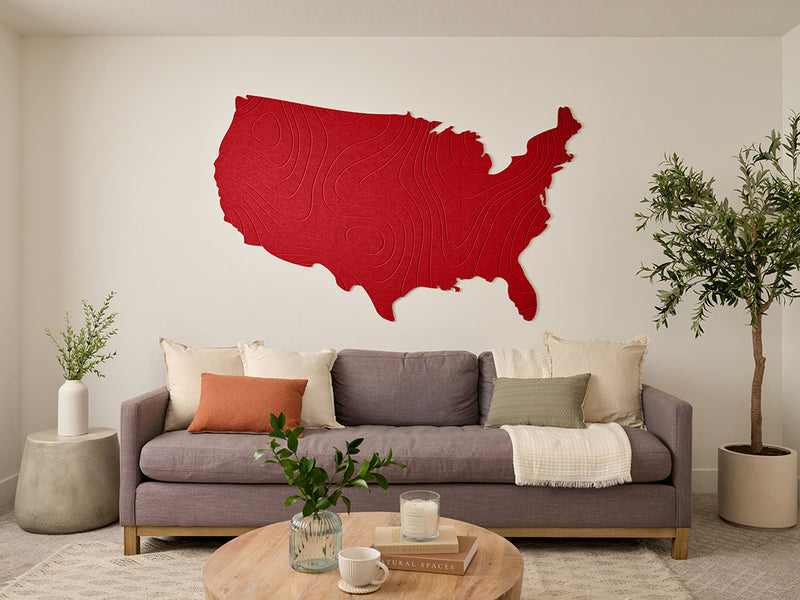 Topographic US Map Wall Art