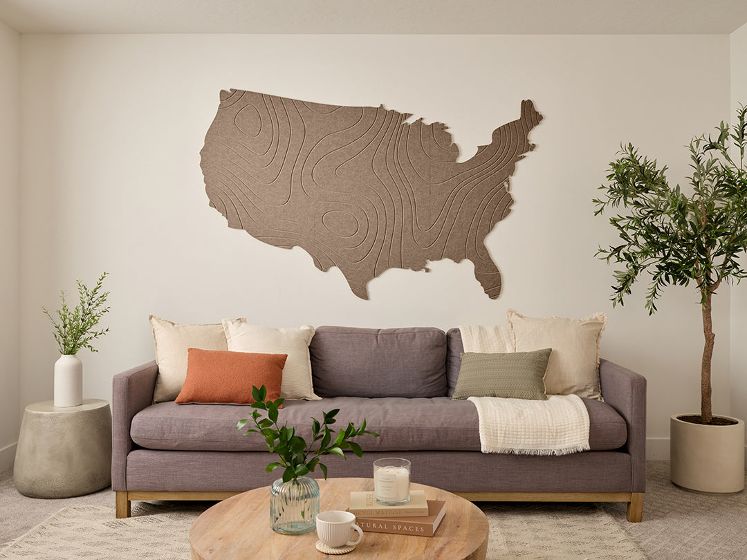 Topographic US Map Wall Art
