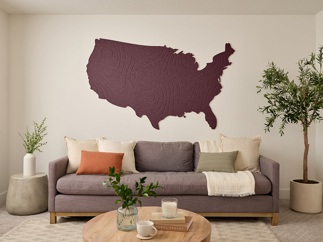 Topographic US Map Wall Art