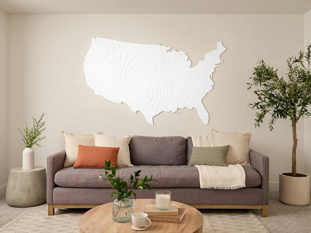 Topographic US Map Wall Art