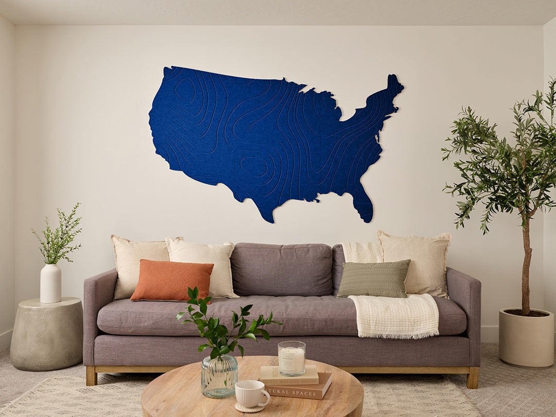 Topographic US Map Wall Art
