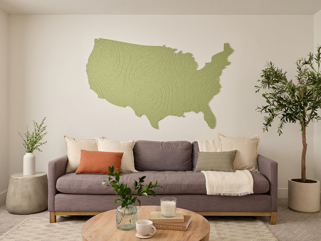 Topographic US Map Wall Art