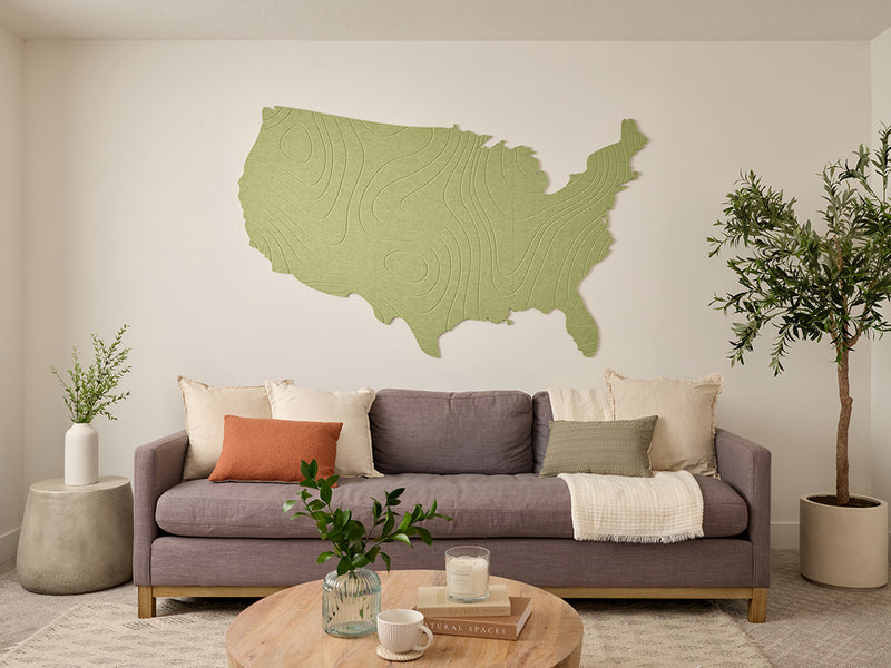 Topographic US Map Wall Art