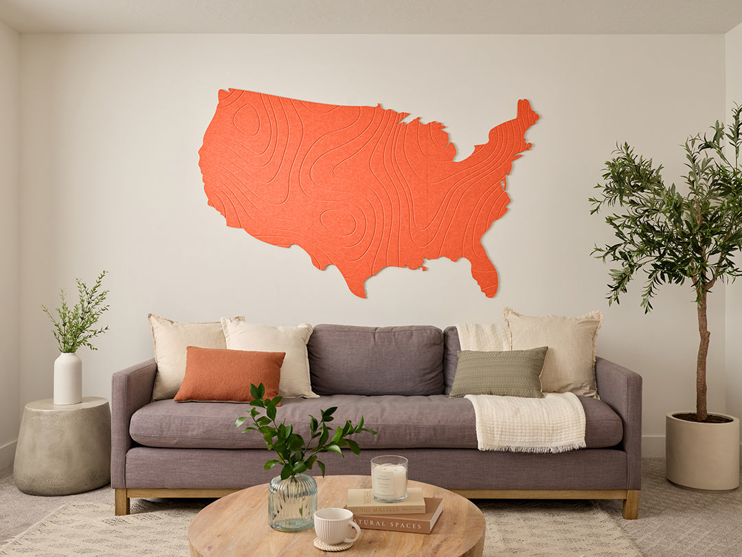 Topographic US Map Wall Art