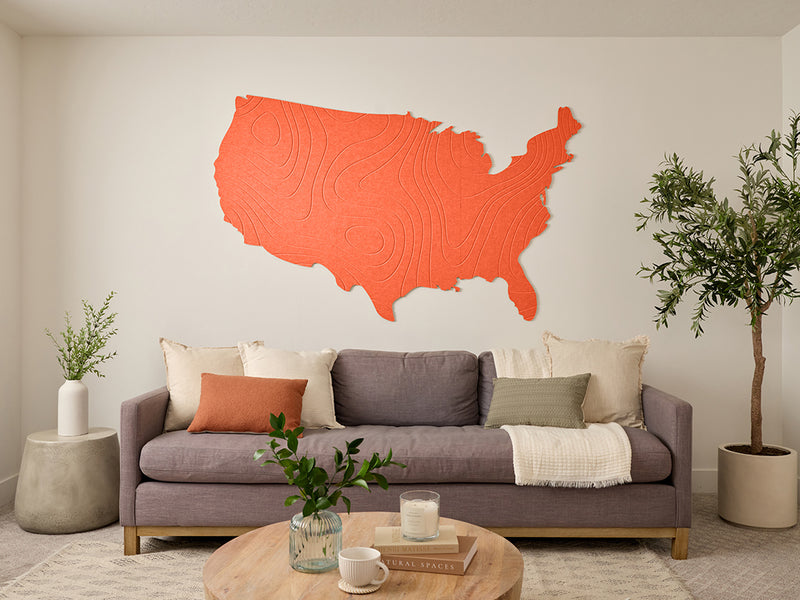 Topographic US Map Wall Art