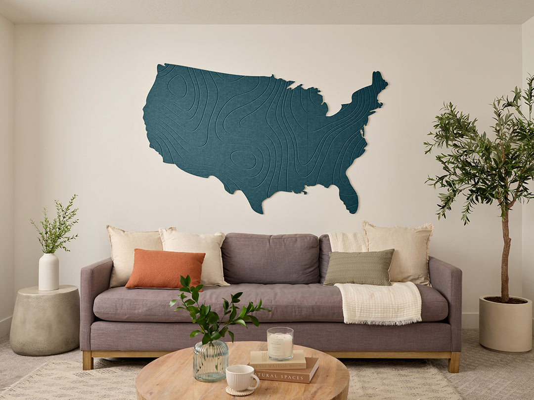 Topographic US Map Wall Art