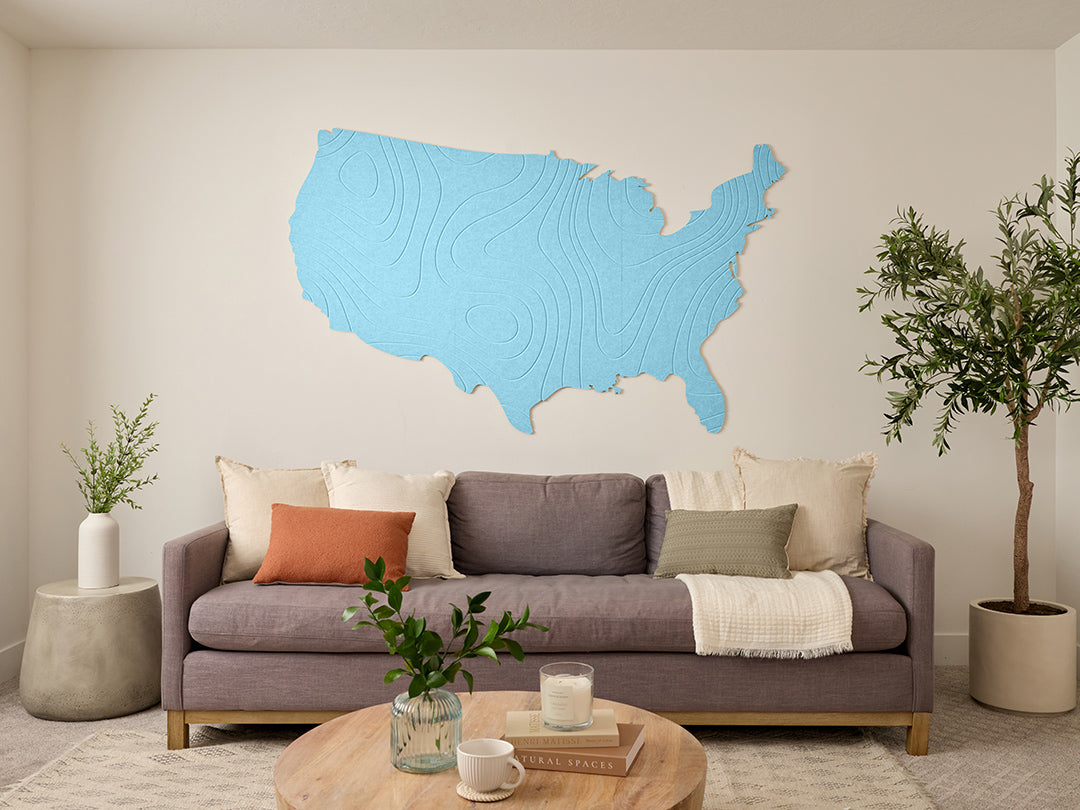 Topographic US Map Wall Art