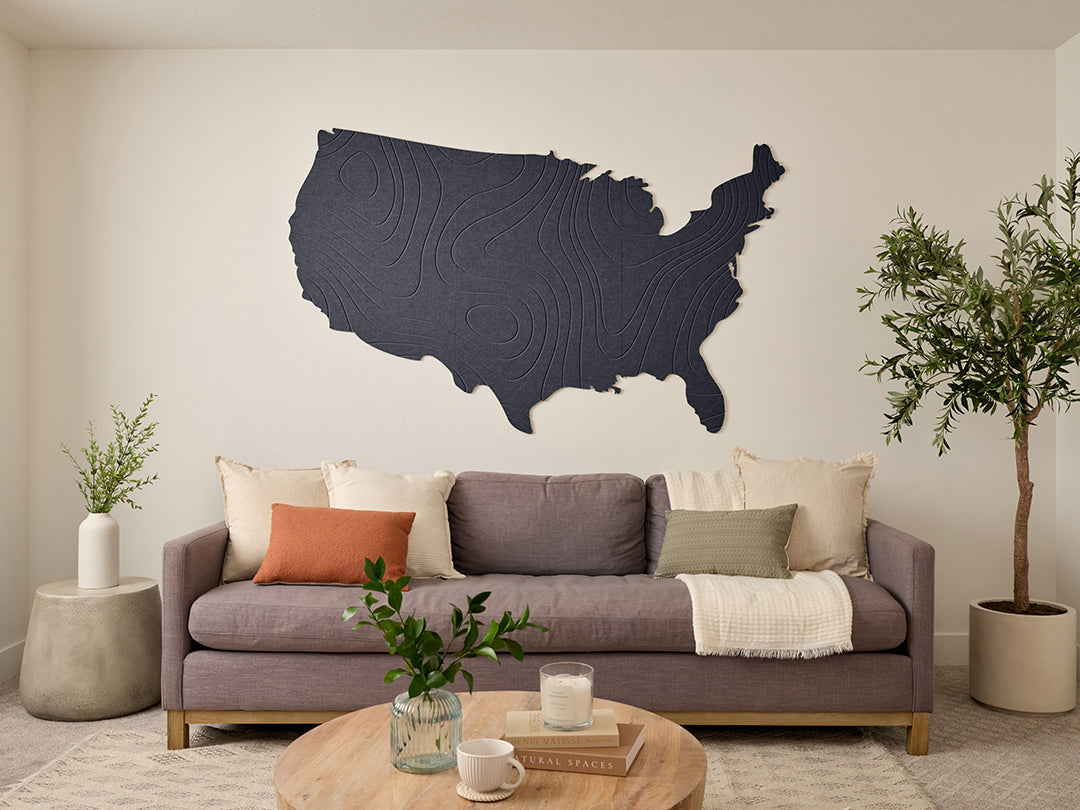 Topographic US Map Wall Art