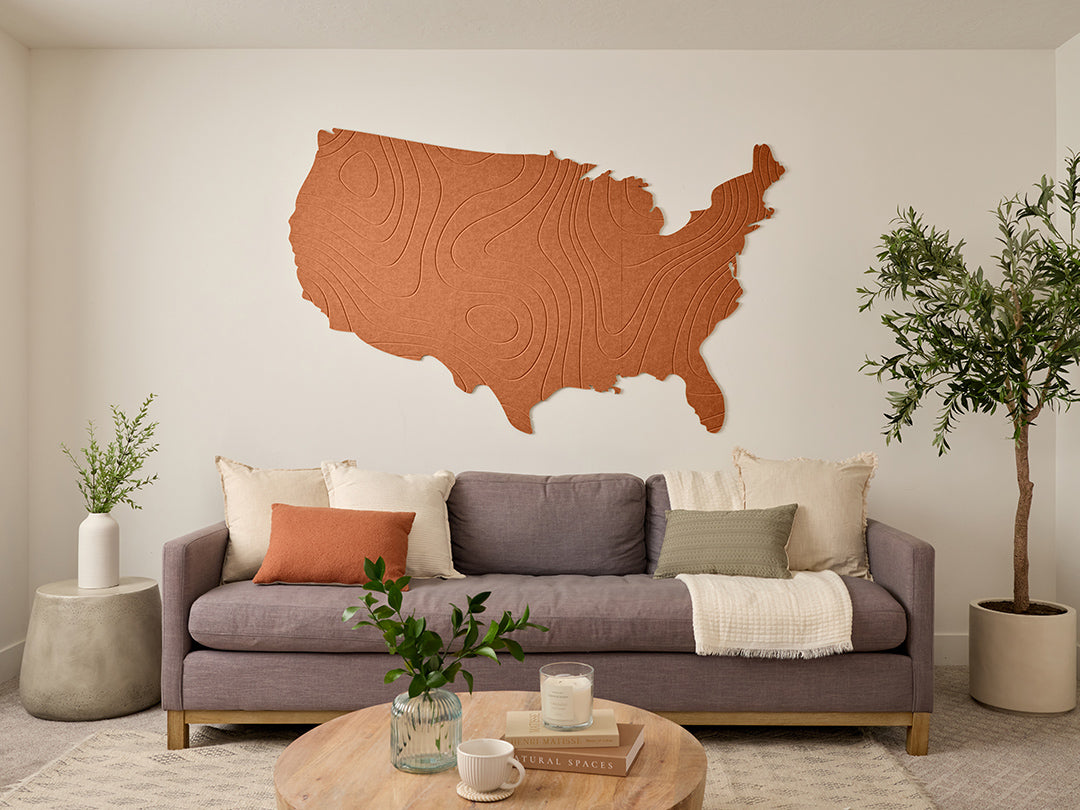 Topographic US Map Wall Art