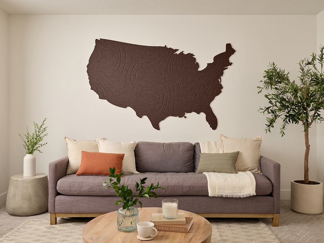Topographic US Map Wall Art