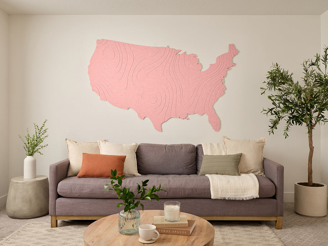 Topographic US Map Wall Art