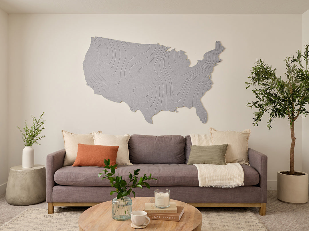 Topographic US Map Wall Art