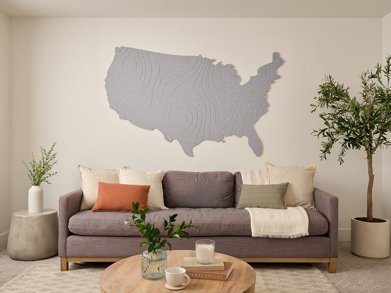 Topographic US Map Wall Art