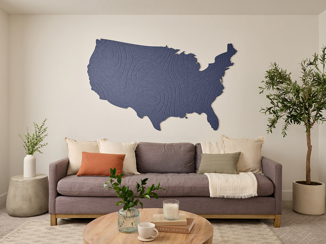 Topographic US Map Wall Art