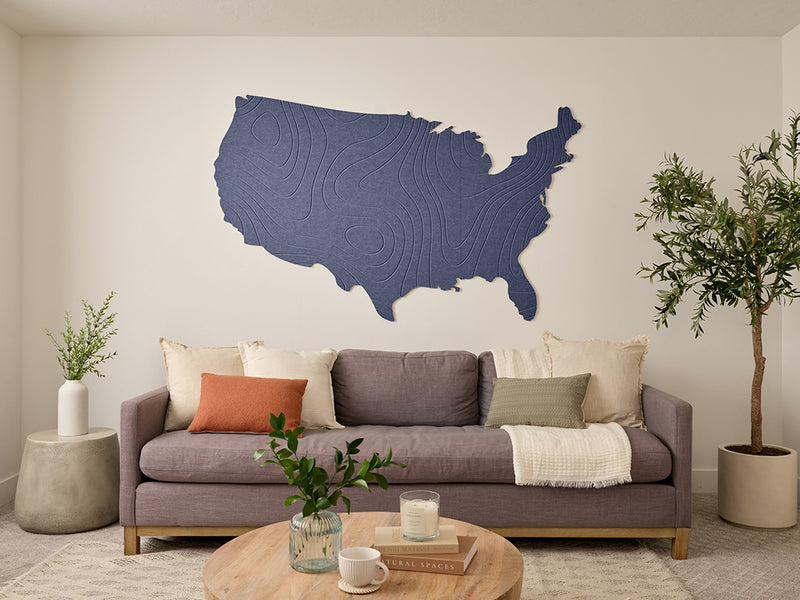 Topographic US Map Wall Art