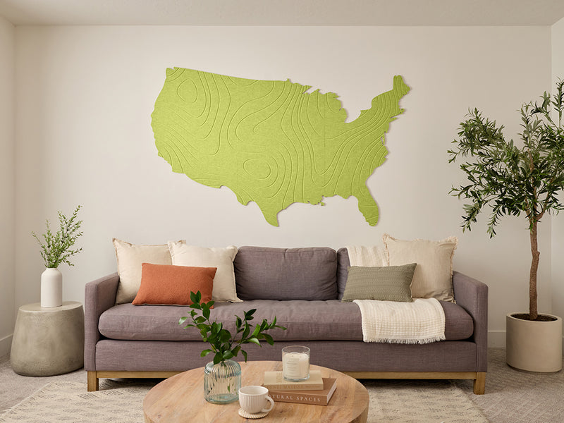Topographic US Map Wall Art