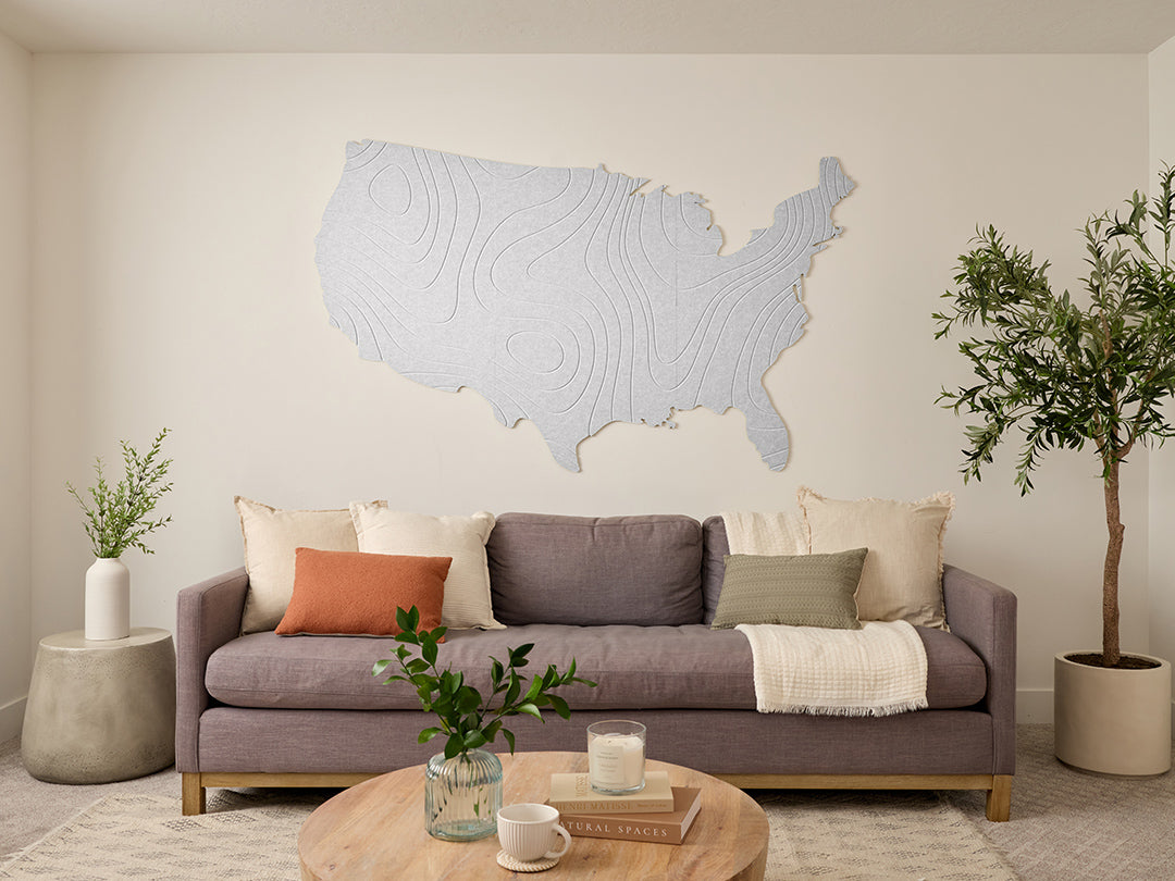 Topographic US Map Wall Art