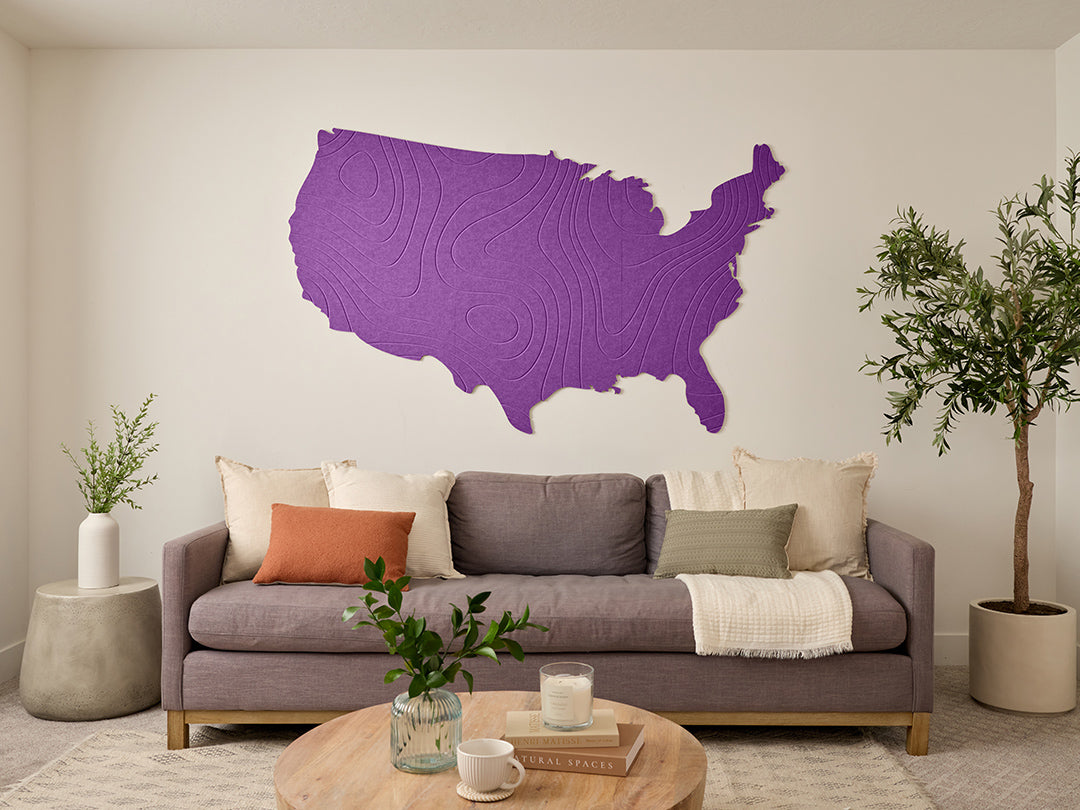 Topographic US Map Wall Art
