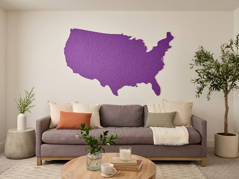 Topographic US Map Wall Art