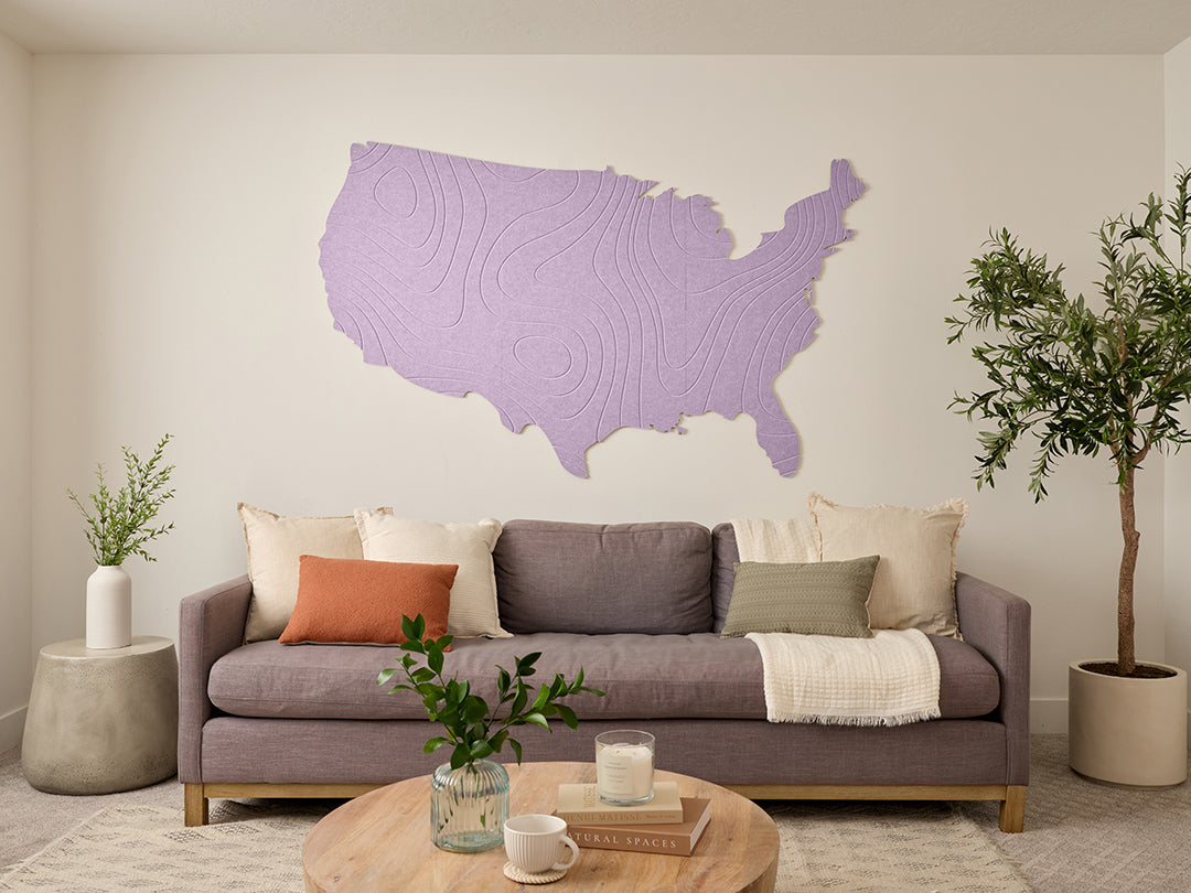 Topographic US Map Wall Art