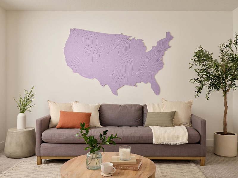 Topographic US Map Wall Art