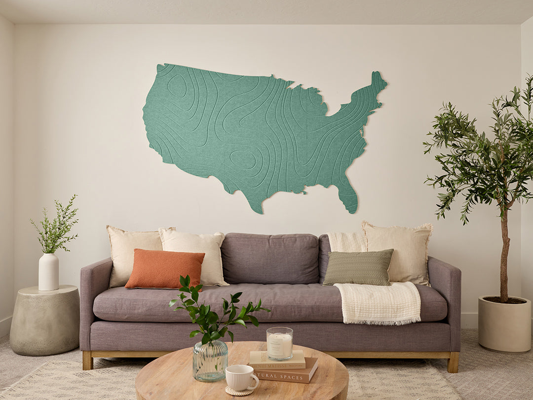 Topographic US Map Wall Art