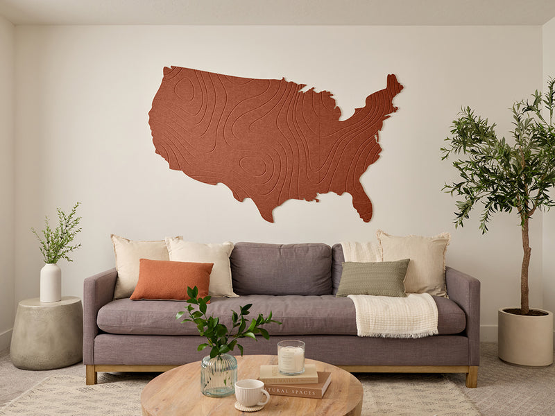 Topographic US Map Wall Art