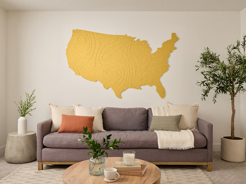 Topographic US Map Wall Art
