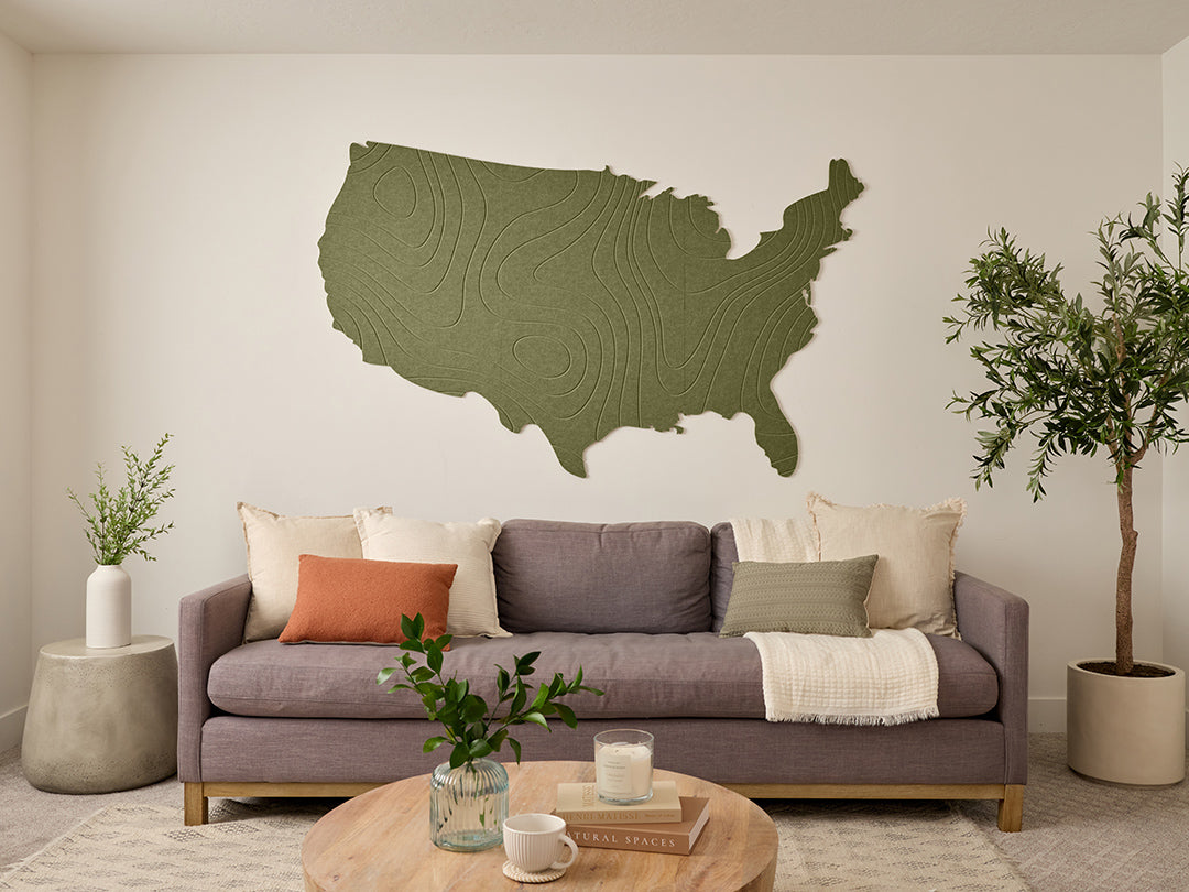 Topographic US Map Wall Art