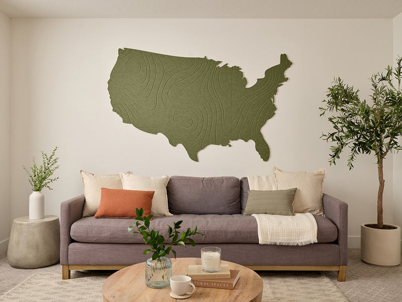 Topographic US Map Wall Art