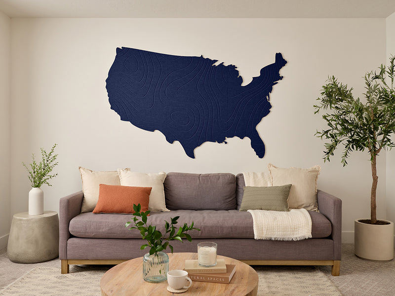 Topographic US Map Wall Art