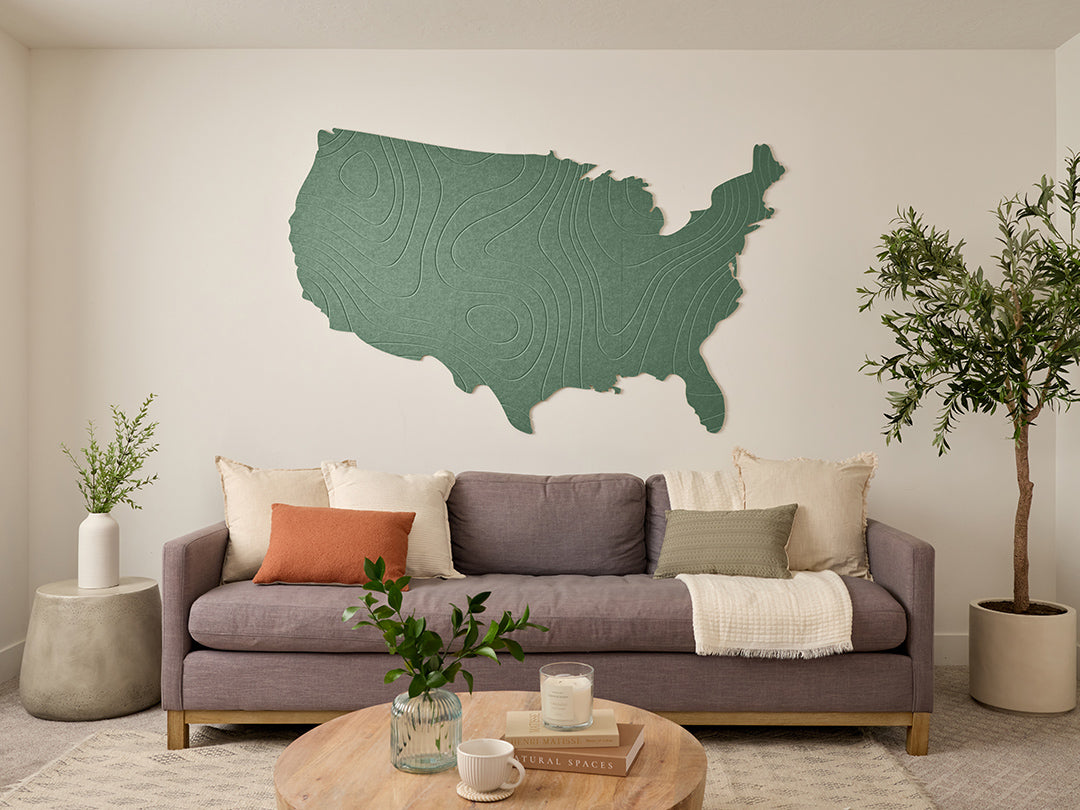 Topographic US Map Wall Art
