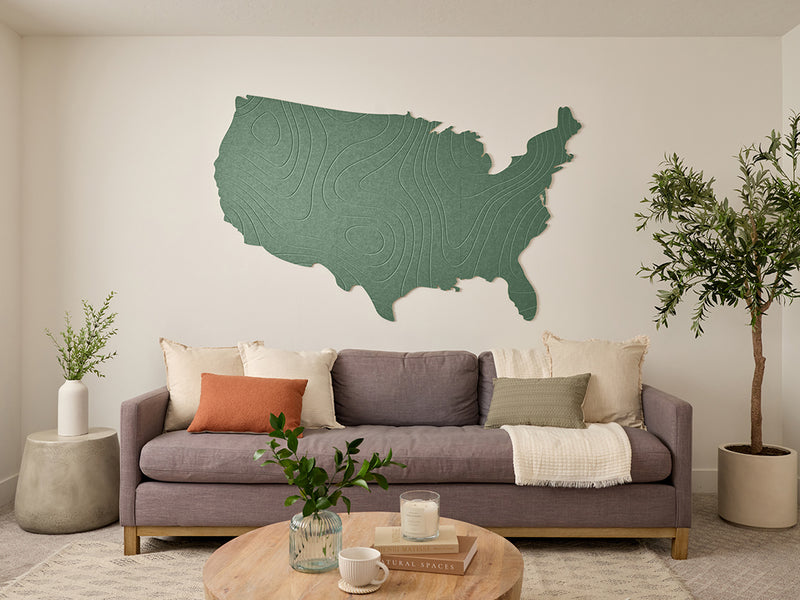 Topographic US Map Wall Art