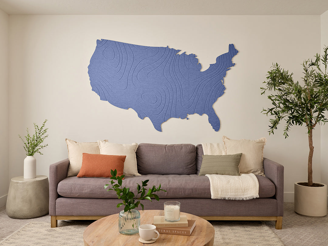 Topographic US Map Wall Art