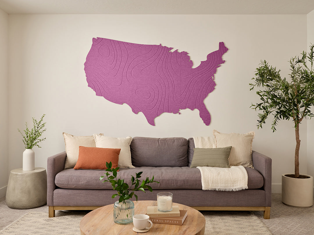 Topographic US Map Wall Art
